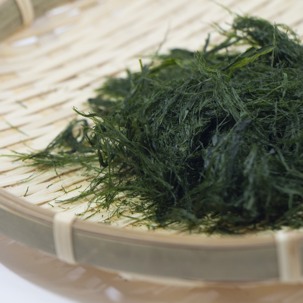 海藻収穫の様子