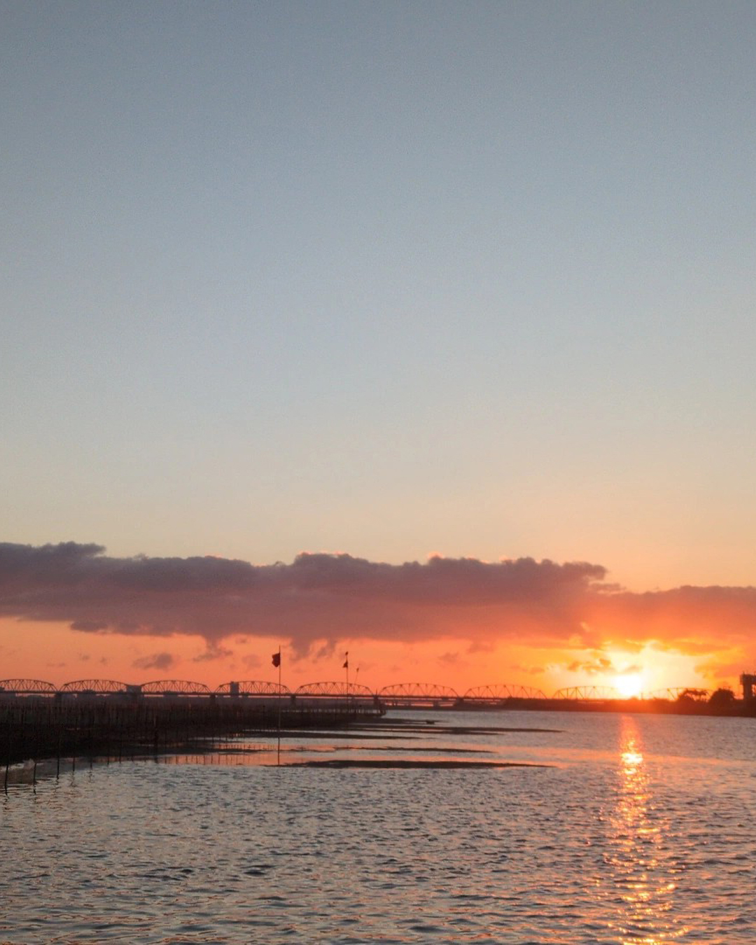 hitotomi project　人とトト(魚)が富を享受し 実を結ぶ